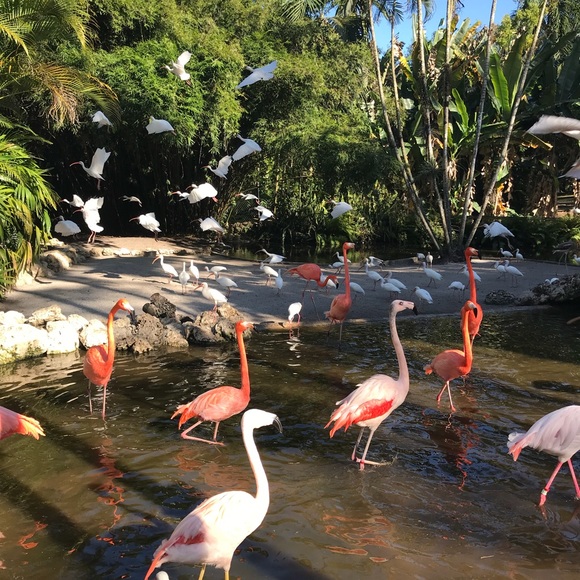 Meet your Posher, Fashion_SWAN - Picture 3 of 3